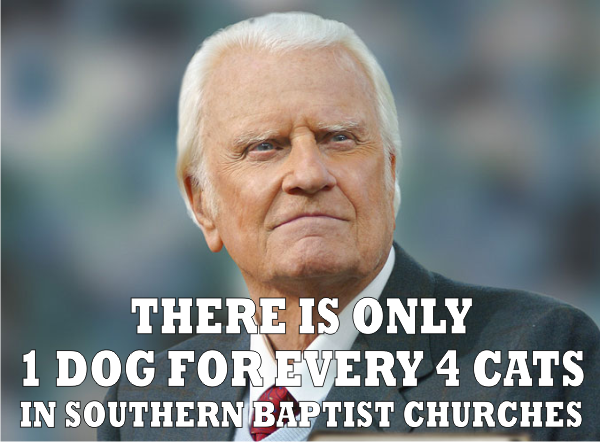 cat to dog billy graham